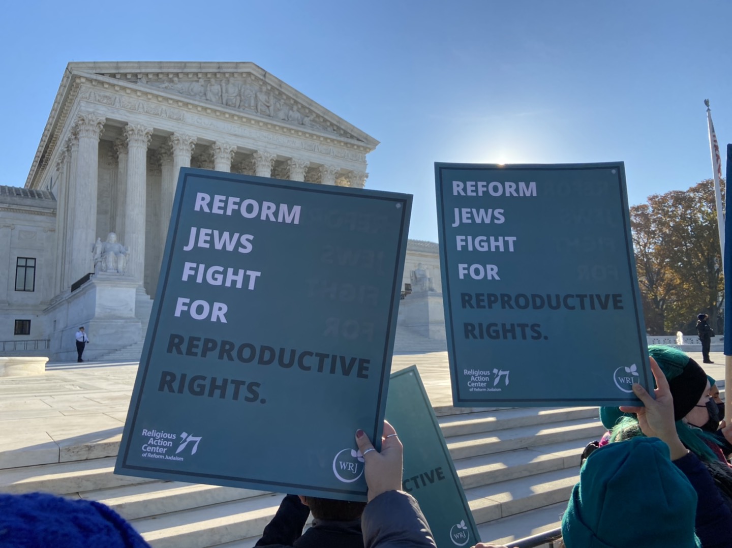 Repro Rights Rally signs