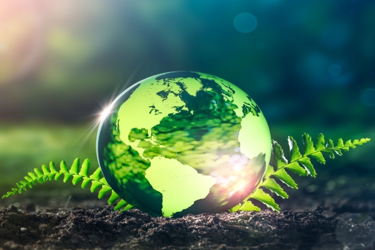 A transparent, green globe with two leaves coming out at the bottom, sitting on soil with a blurry trees in the background.