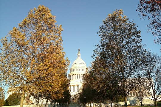 capitol hill