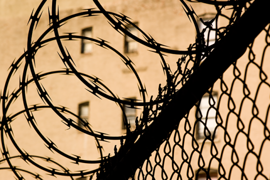 barbed wire fence